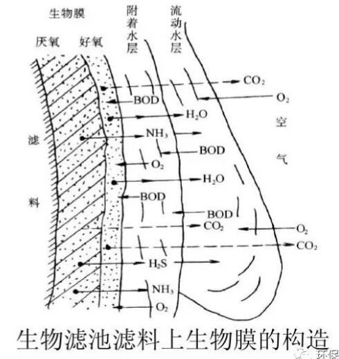 QQ截图20181226090257.jpg